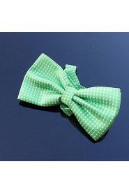 Men Party/Work/Casual Bow Tie , Polyester