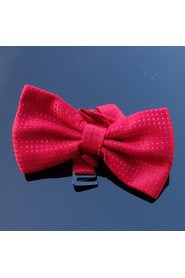 Men Party/Work/Casual Bow Tie , Polyester