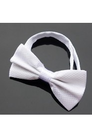 Men Vintage/Cute/Party/Work/Casual Bow Tie , Polyester