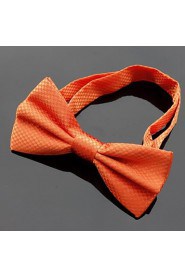 Men Vintage/Cute/Party/Work/Casual Bow Tie , Polyester