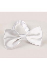 Unisex Vintage/Party/Work/Casual Bow Tie , Polyester