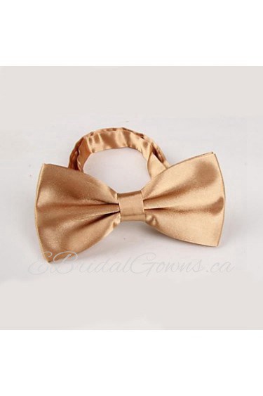 Unisex Vintage/Party/Work/Casual Bow Tie , Polyester