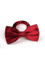 Unisex Vintage/Party/Work/Casual Bow Tie , Polyester