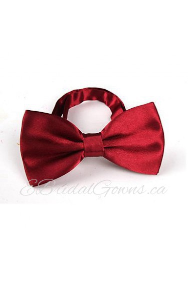 Unisex Vintage/Party/Work/Casual Bow Tie , Polyester