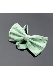 Men Party/Work/Casual Bow Tie , Polyester