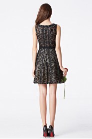 A-line Lace Scoop Cocktail Party / Prom Dress
