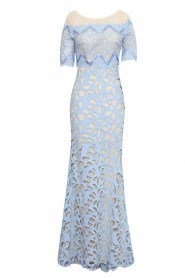 Hollow Out Scoop Half Sleeve Evening Dress Sheath / Column with Embroidery