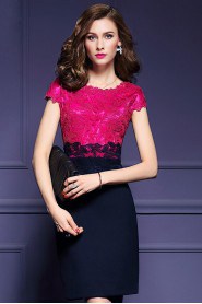 Lace Knee-length Short Sleeve Scoop Lace Mother of the Bride Dress