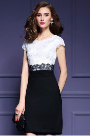 Lace Knee-length Short Sleeve Scoop Lace Mother of the Bride Dress