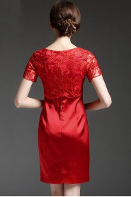 Knee-length Short Sleeve Scoop Openwork Embroidery Mother of the Bride Dress