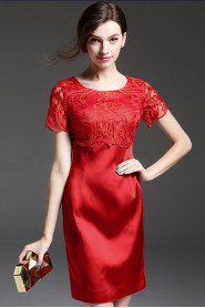 Knee-length Short Sleeve Scoop Openwork Embroidery Mother of the Bride Dress