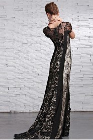 Scoop Sweep / Brush Train Short Sleeve Lace,Chiffon Prom / Evening Dress