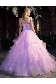 Ball Gown Strapless Prom / Evening Dress with Embroidery