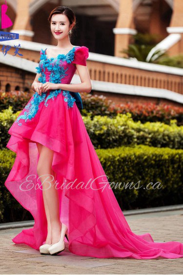 Ball Gown V-neck Tulle Prom / Evening Dress