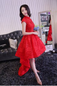 Ball Gown High Neck Tulle,Lace Knee-length Prom / Evening Dress