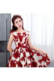 A-line V-neck Lace Prom / Evening Dress