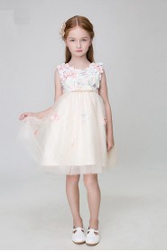 A-line Flower Girl Dress