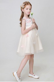 A-line Flower Girl Dress