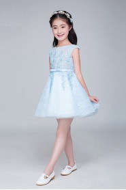 A-line Flower Girl Dress