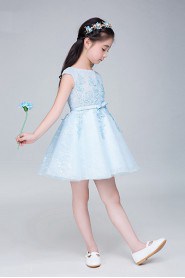 A-line Flower Girl Dress