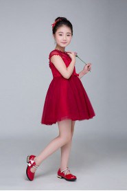 A-line Flower Girl Dress