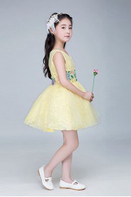 A-line Flower Girl Dress