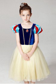 A-line Flower Girl Dress