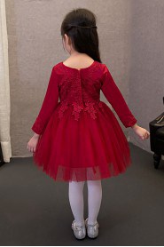 A-line Long Sleeve Lace Flower Girl Dress