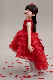 A-line Flower Girl Dress