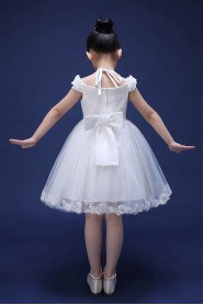 A-line Flower Girl Dress