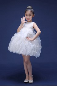 A-line Flower Girl Dress