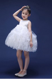 A-line Flower Girl Dress