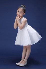 A-line Flower Girl Dress