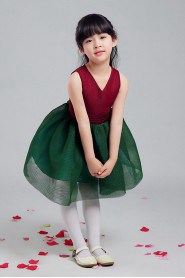 A-line Flower Girl Dress