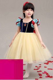 A-line Flower Girl Dress