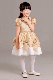 A-line Flower Girl Dress