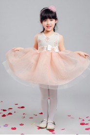 A-line Flower Girl Dress