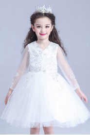 Long Sleeve A-line Flower Girl Dress