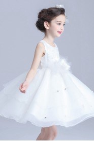 Organza A-line Flower Girl Dress