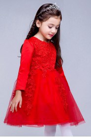 Long Sleeve A-line Flower Girl Dress