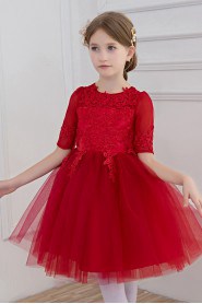 Long Sleeve A-line Flower Girl Dress