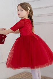 Long Sleeve A-line Flower Girl Dress