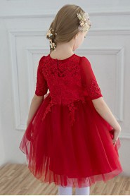 Long Sleeve A-line Flower Girl Dress