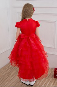 A-line Flower Girl Dress