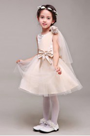 A-line Flower Girl Dress