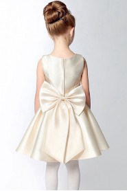 A-line Flower Girl Dress